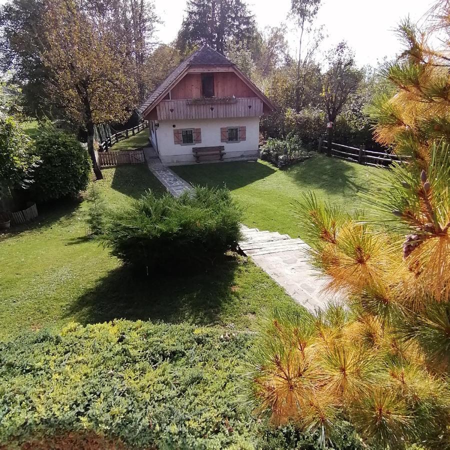 Vila Jana Radovljica Exterior photo